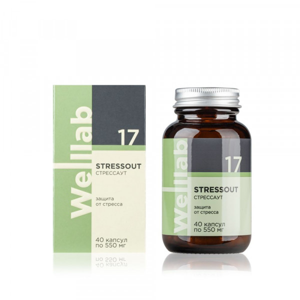 БАД для нервной системы Welllab STRESSOUT 40 капсул